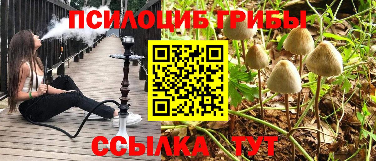Псилоцибиновые грибы GOLDEN TEACHER Королёв
