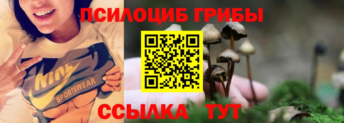 Королёв  Псилоцибиновые грибы мухоморы  Вход с VPN  Псилоцибиновые грибы ЛСД 