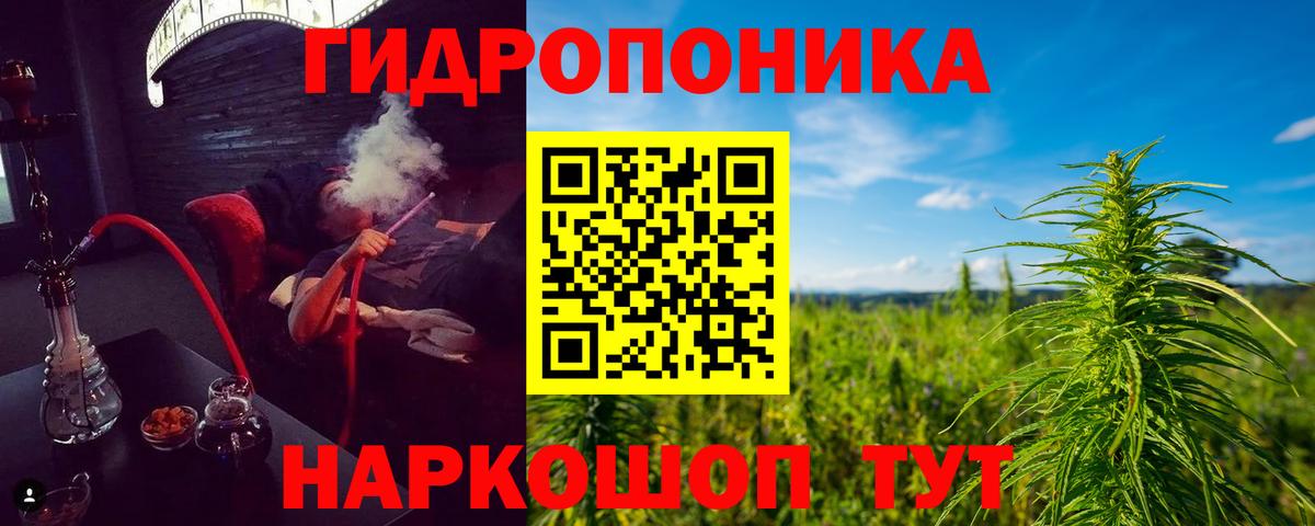 Шишки марихуана конопля Королёв